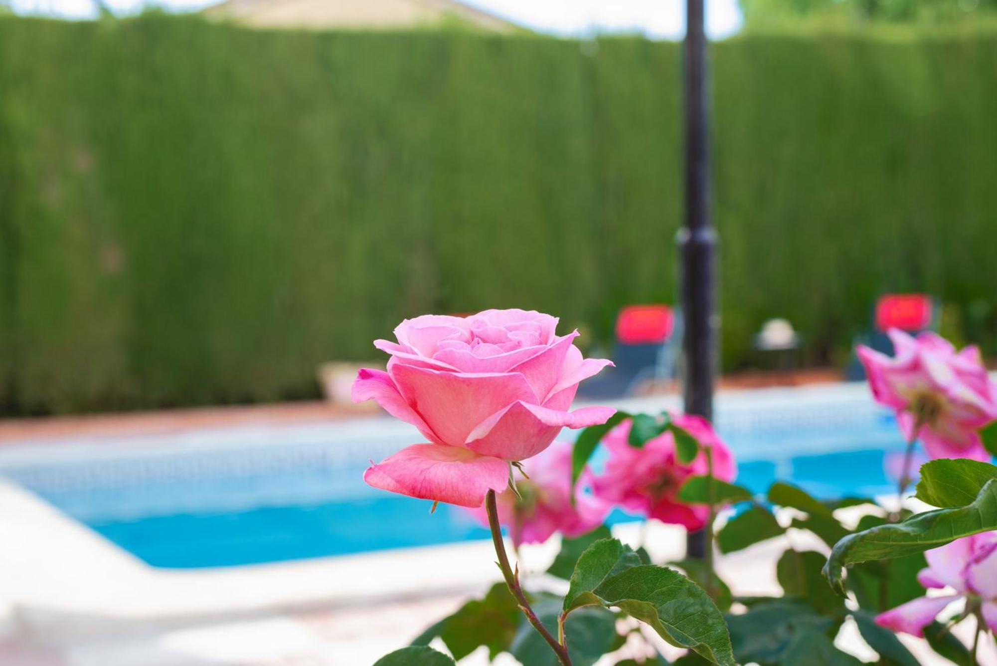 Villa Granada Garden Deluxe 모나칠 외부 사진